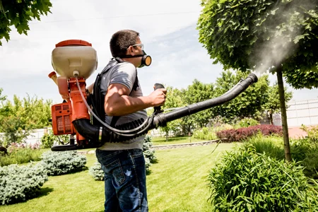 mosquito spray