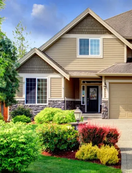 termite free house